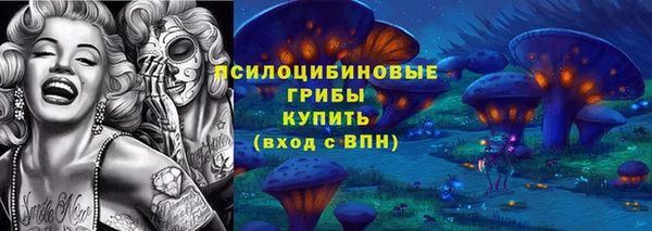 круглые Алексеевка